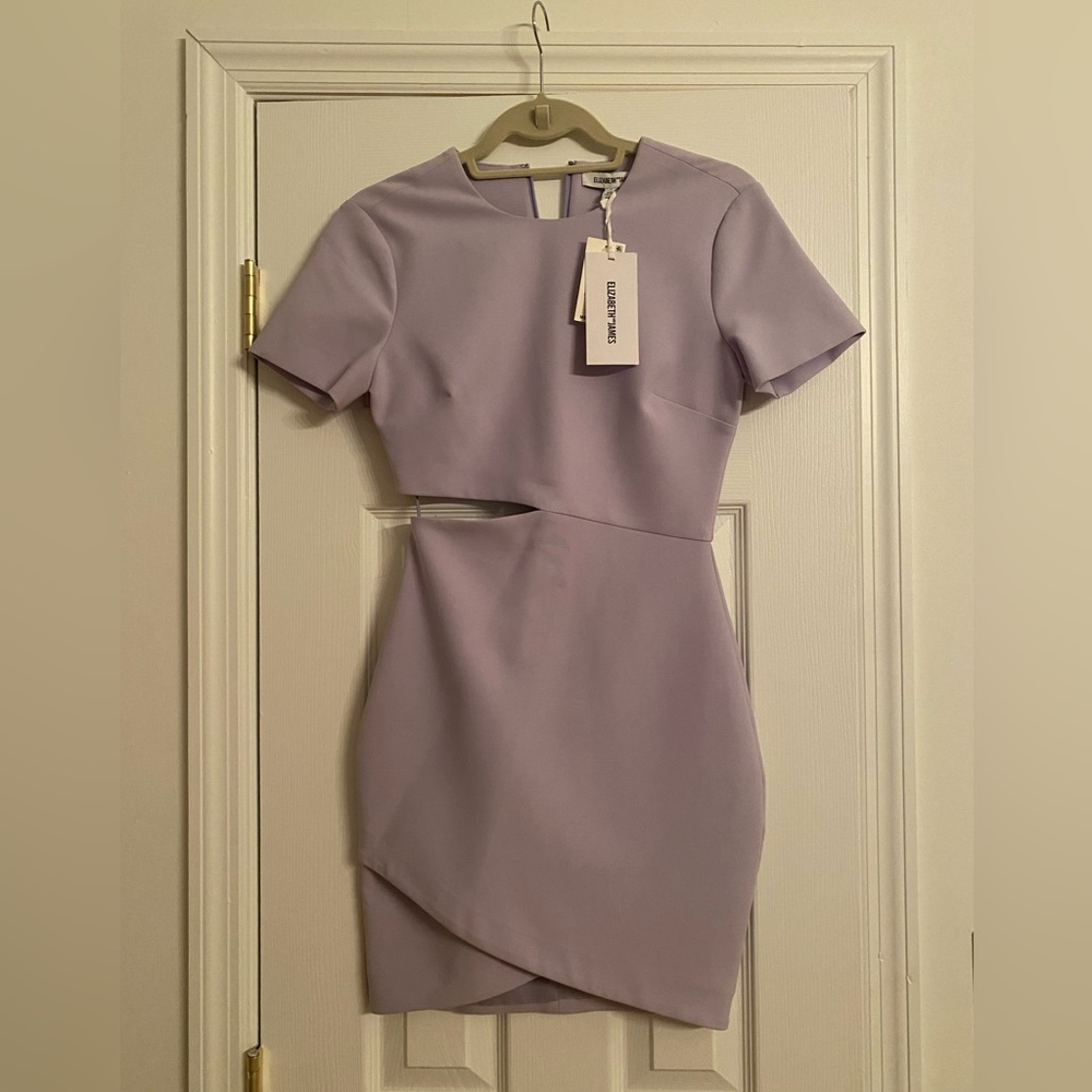 Elizabeth and James Aiala Dress NWT - Picture 3 of 7